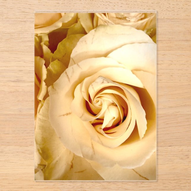 Élégante invitation en acrylique macro rose Champa (Recto)