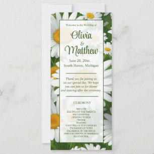 Elégante marguerite blanche champs fleuris blancs 