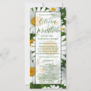 Elégante marguerite blanche champs fleuris blancs