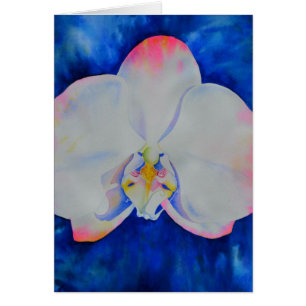 Elégante orchidée florale blanche rose aquarelle