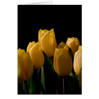 Élégante tulipe jaune