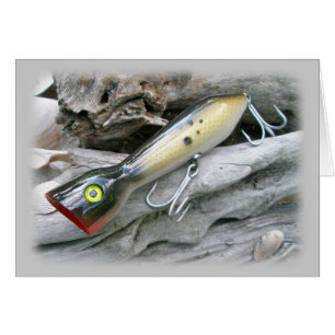 Éléments de coordination de l'AJS Saltwater Lure P