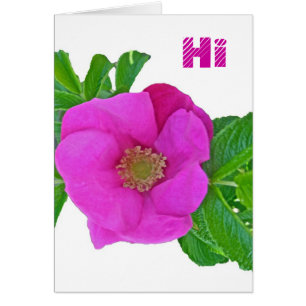 Éléments de coordination du Rose de plage rose cha