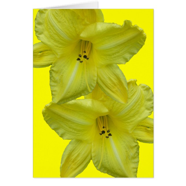 Eléments de coordination journalière jaune (Devant)