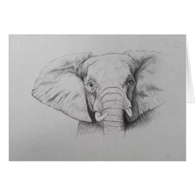 Éléphant 2011 (Devant horizontal)