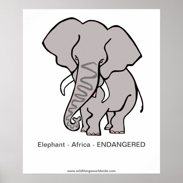 Elephant - affiche (Devant)