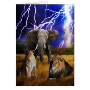 Éléphant Afrique du Sud de lions