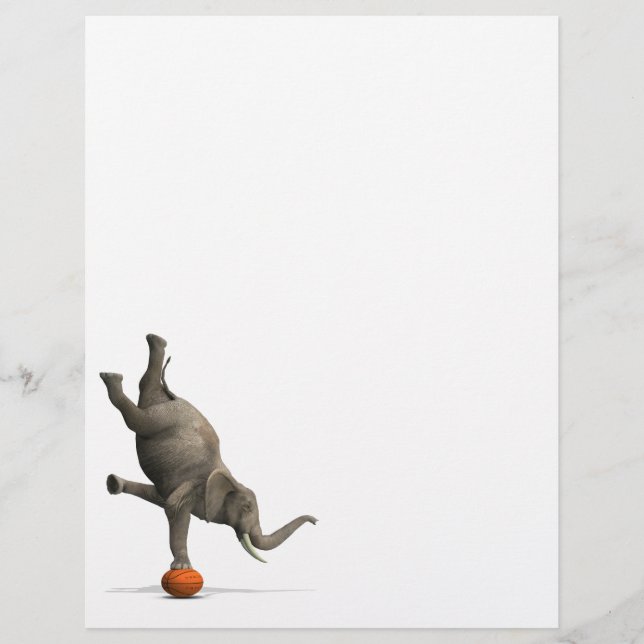 Eléphant artistique (Devant)