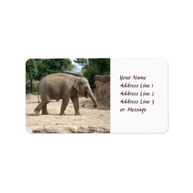 Eléphant Asiatique Marcher Sur Étiquette Adhésif S (Devant)