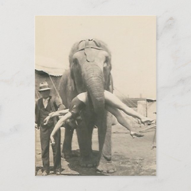 éléphant avec une fille dans la bouche carte posta (Devant)