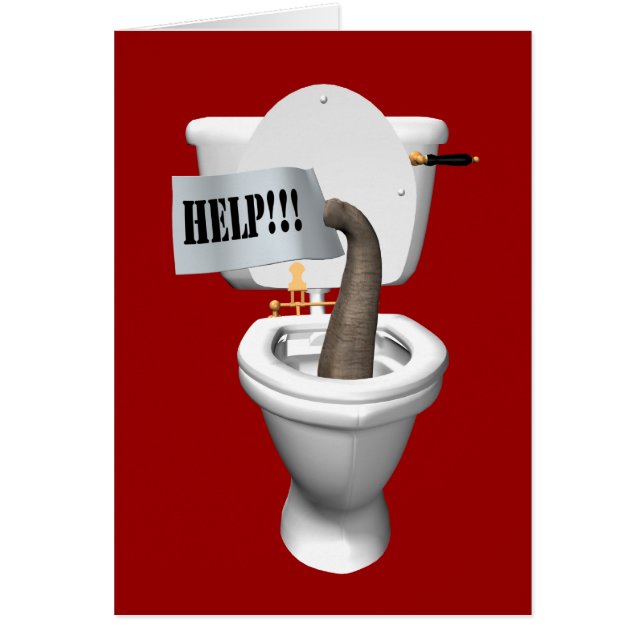 Eléphant Coincé Dans Les Toilettes (Devant)