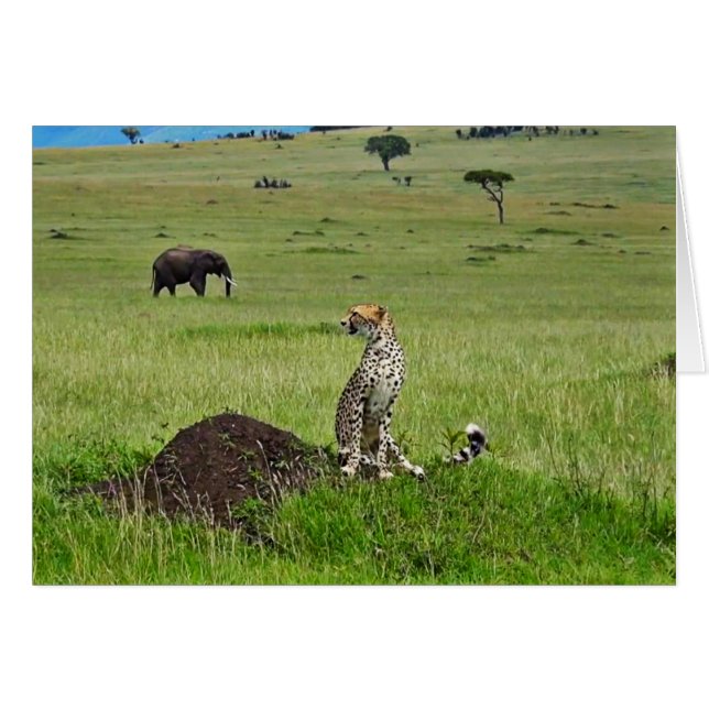 Éléphant de guépard (Devant Horizontal)