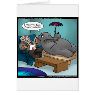 Éléphant Drôle en Thérapie