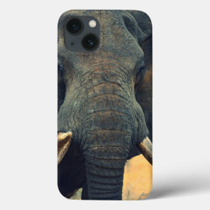 Eléphant sauvage gros plan iPad Mini coque
