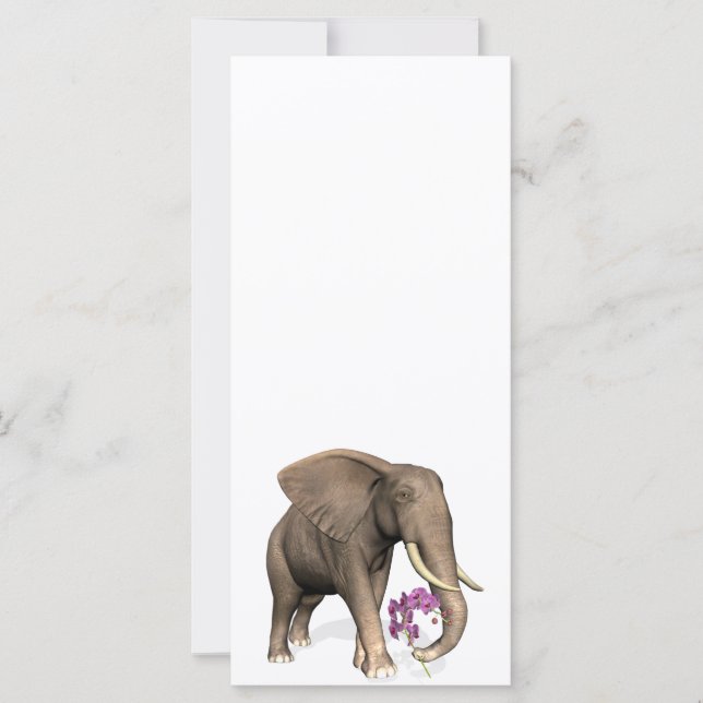 Elephant With Pink Orchid (Devant)