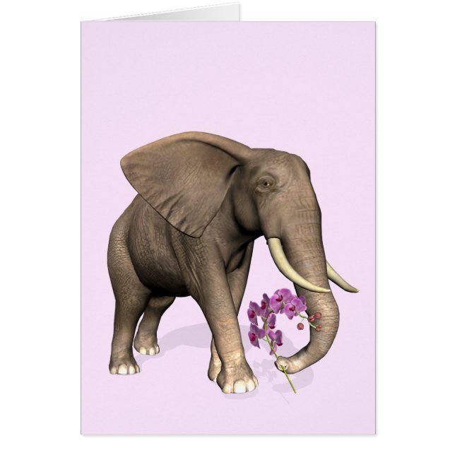 Elephant With Pink Orchid (Devant)