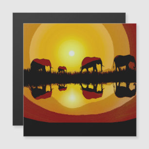 Eléphants africains couchés de soleil