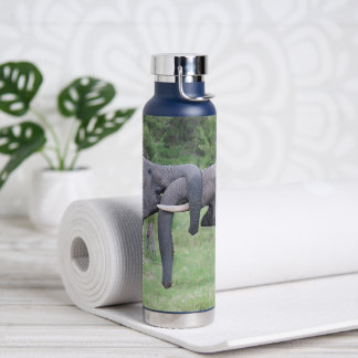 Éléphants bouteille d'eau en acier inoxydable 22 o