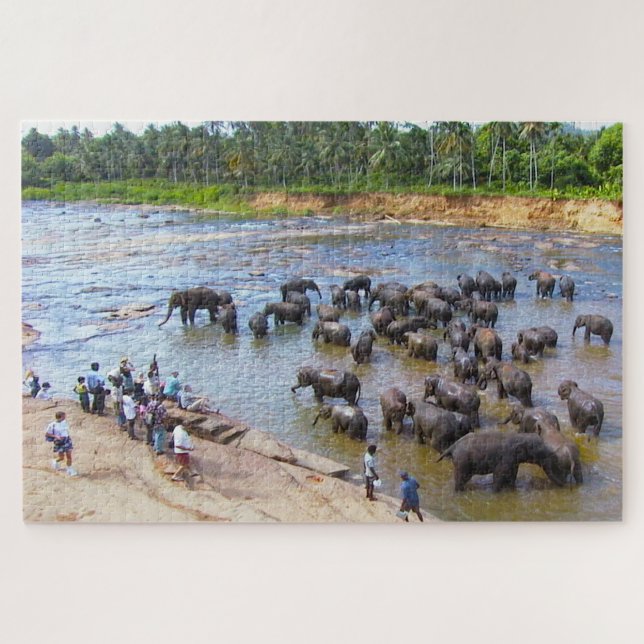 Eléphants du Sri Lanka. Jigsaw Puzzle (Horizontal)