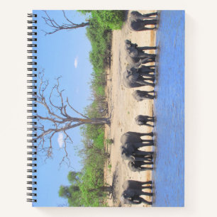 Eléphants sur le Carnet de la spirale fluviale