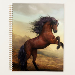 élevage de chevaux sauvages