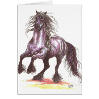 Élevage du cheval frison