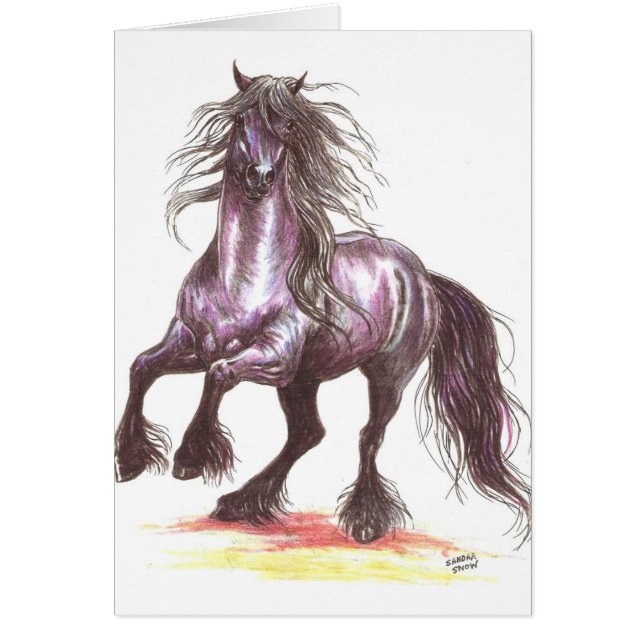 Élevage du cheval frison (Devant)