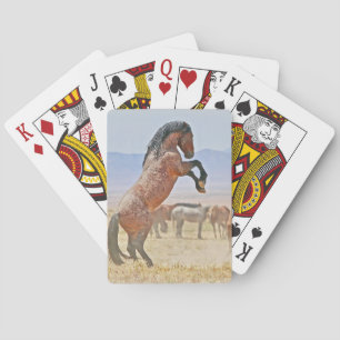 Elevage Stallion, Prêt à jouer, jeu de cartes