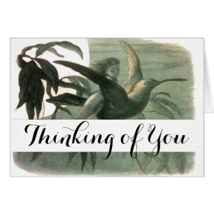 Elf Fairies Elves Lune Scène nocturne Oiseau Volan