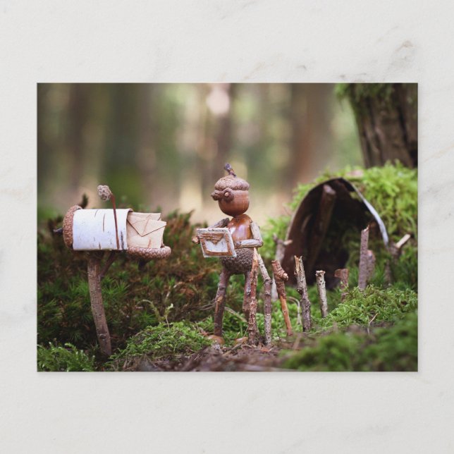 Elfe Acorn lire carte postale - carte postale (Devant)