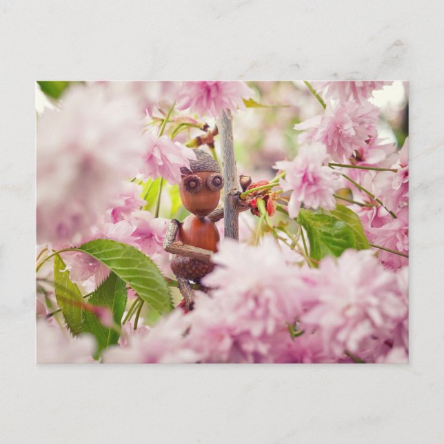 Elfe d'Acorn sur la carte postale de sakura en fle (Devant)