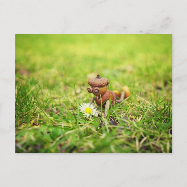 Elfe de maïs avec carte postale de printemps de fl (Devant)