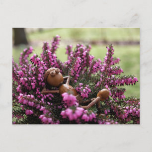 Elfe de maïs sur la carte postale du jardin de la 