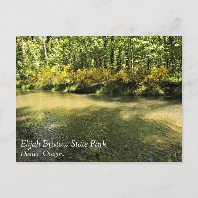 Elijah Bristow State Park, Dexter, carte postale d (Devant)
