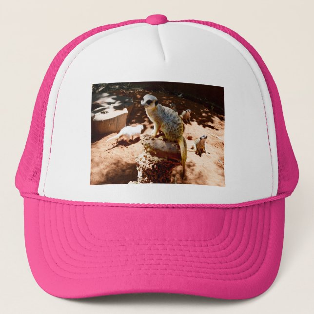 Eliza Queen Of The Meerkats, Casquette De Camions (Devant)