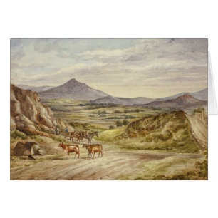 Elizabeth Murray - Wicklow Hills