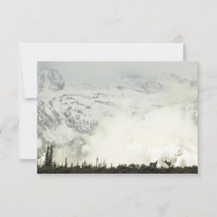 Elk at Grand Teton National Park Photographie