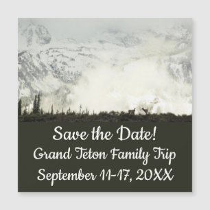 Elk at Grand Teton National Park Photographie