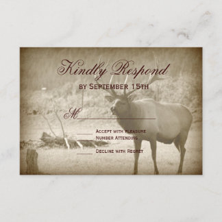 Elk Big Jeu Faune Antlers Mariage Cartes RSVP