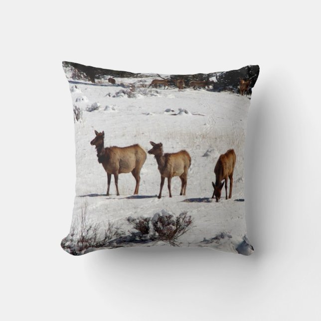 Elk dans la neige coussin (Recto)