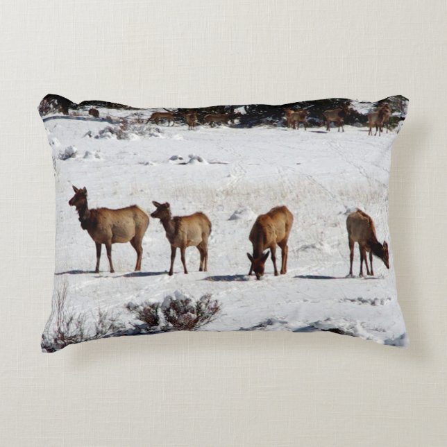 Elk dans le coussin d'accent de neige (Devant)