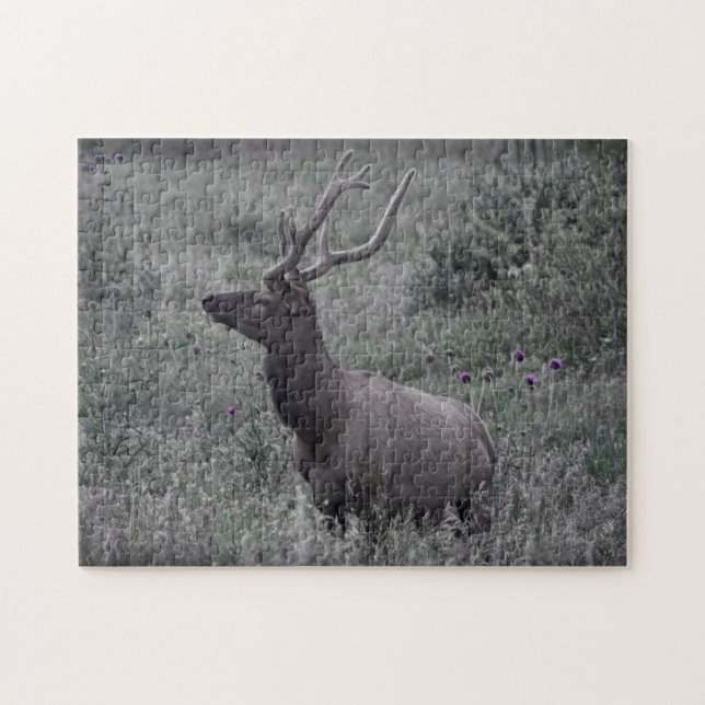 Elk in Rocky Mountain National Park Puzzle (Horizontal)