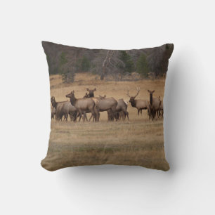 Elk réversible sur un Coussin