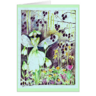 Elve "Galanthus " de perce-neige