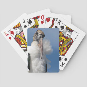 Elvis - cigogne en bois - cartes de jeu