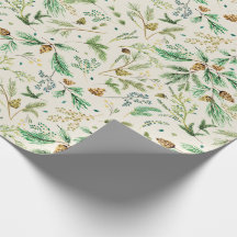 Emballage cadeau Juniper Pine d'hiver sur blanc