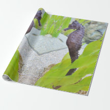 Emballage cadeau Seahorse