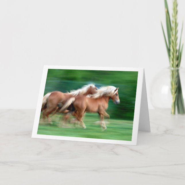 Emballage de la carte de voeux de chevaux de (Devant)