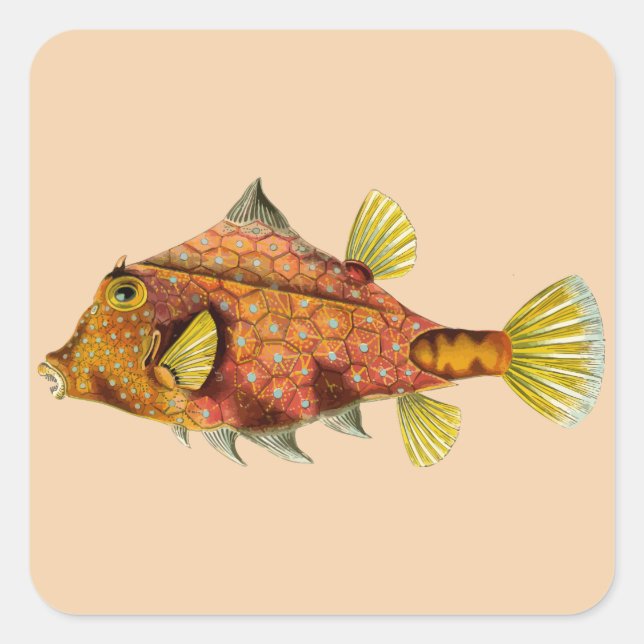 emballage de poisson personnaliser moi autocollant (Devant)