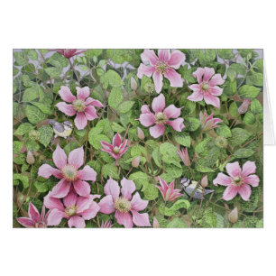 Emboîtement dans la clématite